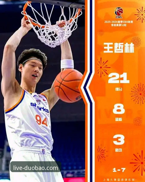 多宝体育下载 王哲林14年首冠全面解析:29+15数据深度解读与CBA总决赛制胜密码
